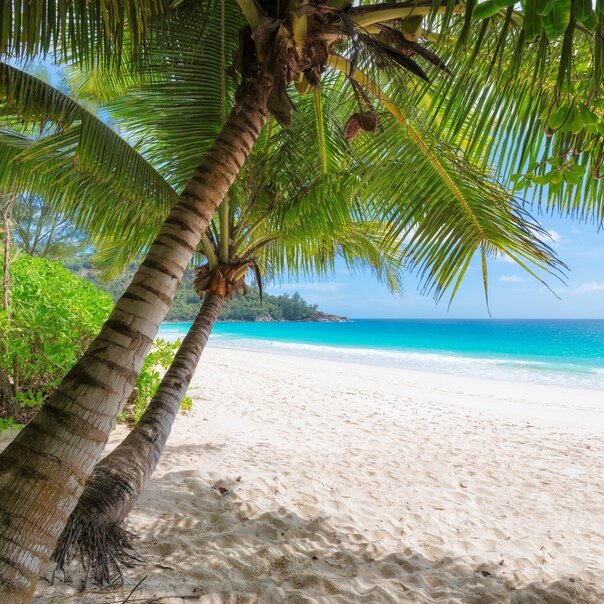 Фото из интернета