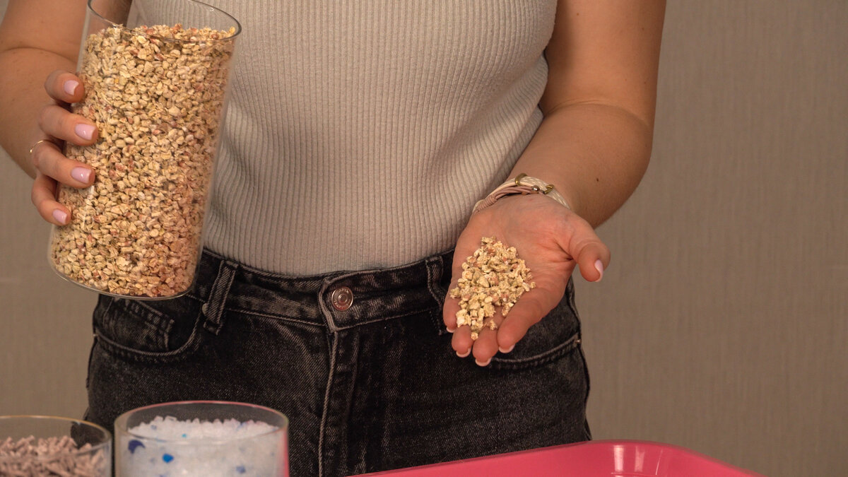 Выбираем наполнитель для кошачьего туалета. | ZOOEXPRESS_PRO | Дзен