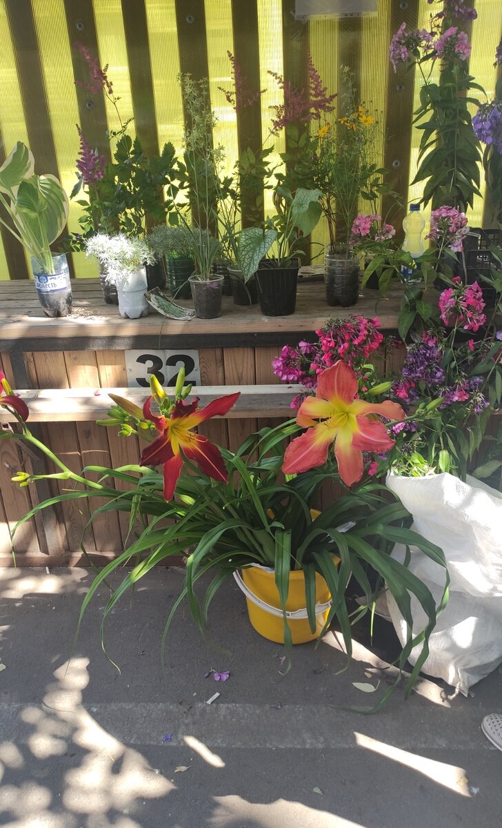 Кировский рынок