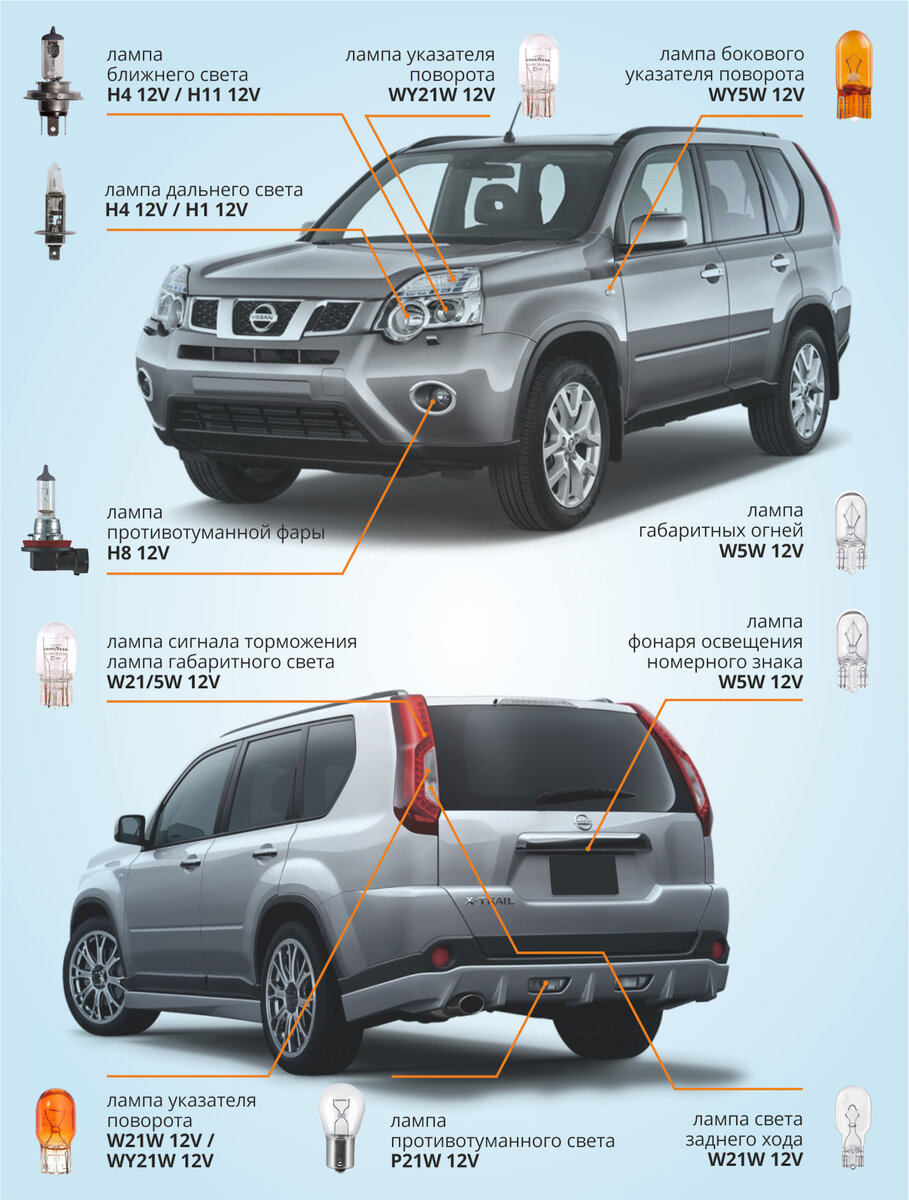Подбор ламп на ваше авто. Подробная инструкция для Nissan X-Trail (T31,  T32) | AZARD Group | Дзен