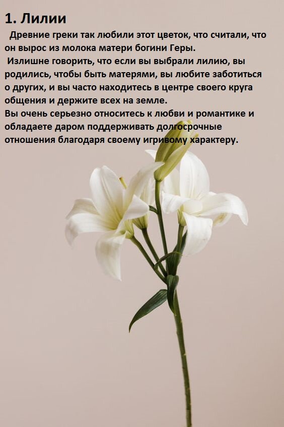 -2-2