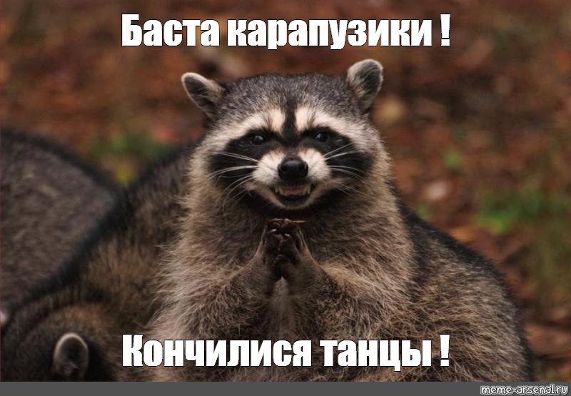 Вот вам такого ехидного енота .