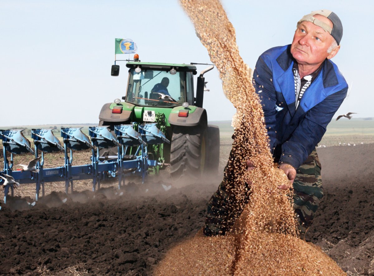    Аграрии Иркутской области подготовятся к посевной кампании