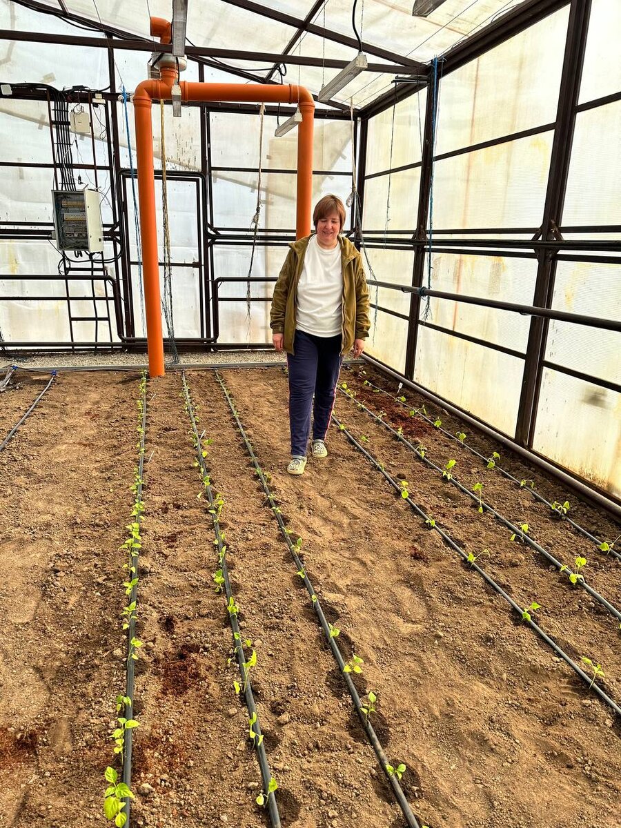 Большая «умная» теплица ИНК приняла первые растения, что позволит вывести эксперименты на новый уровень