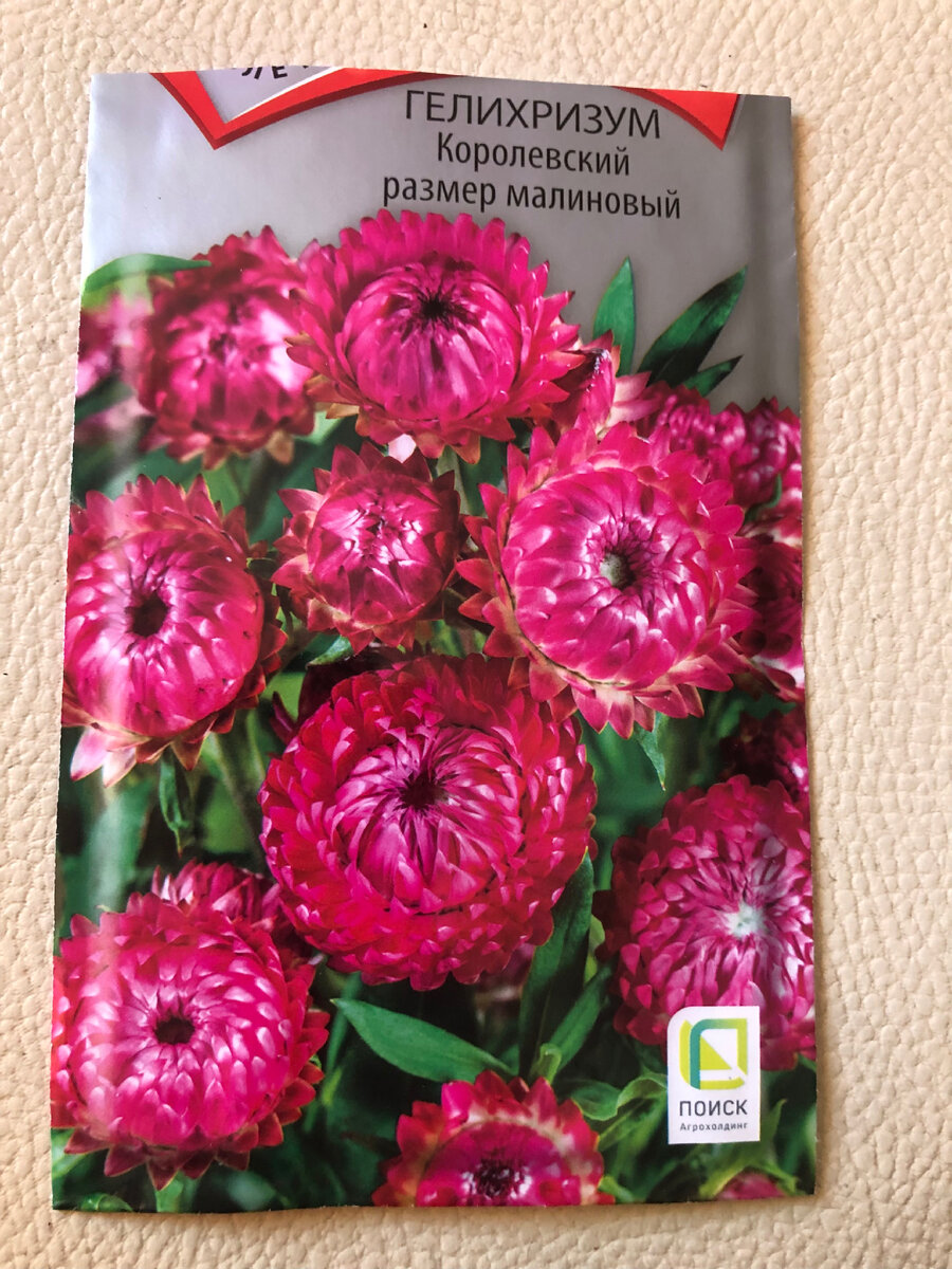 Гелихризум 