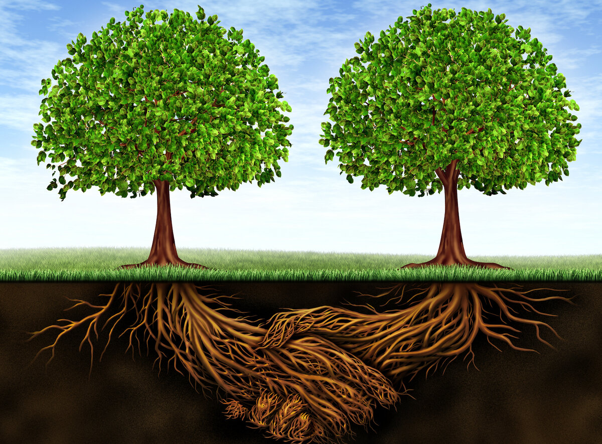 Картинка взята из интернета