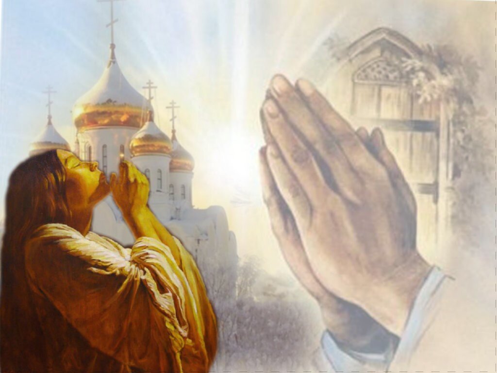 Источник фото: Яндекс картинки по запросу, открытые источники интернет, вк.