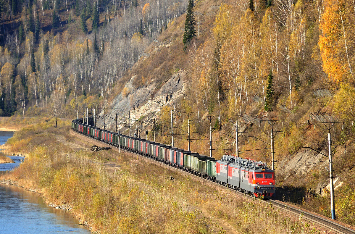 Автор: Моль