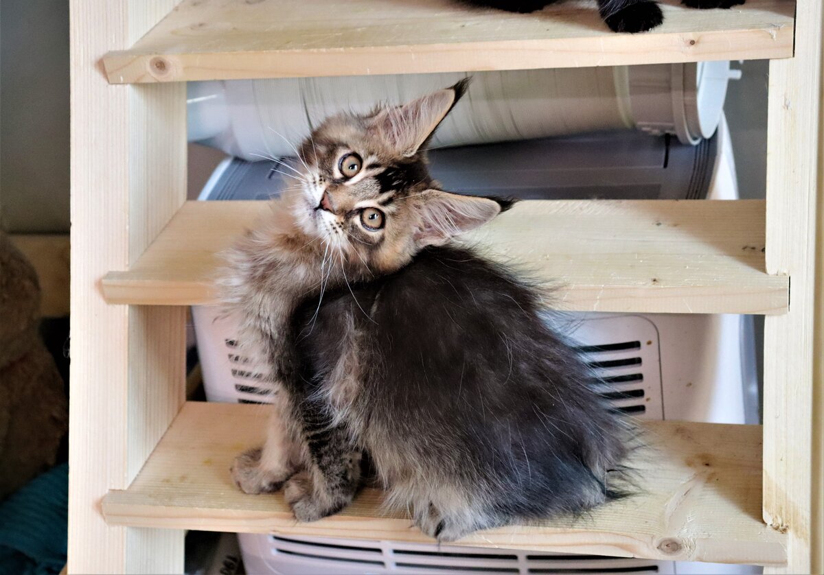 Фото из личного архива.