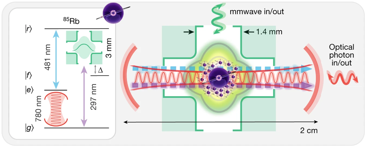   Aishwarya Kumar et al. / Nature, 2023