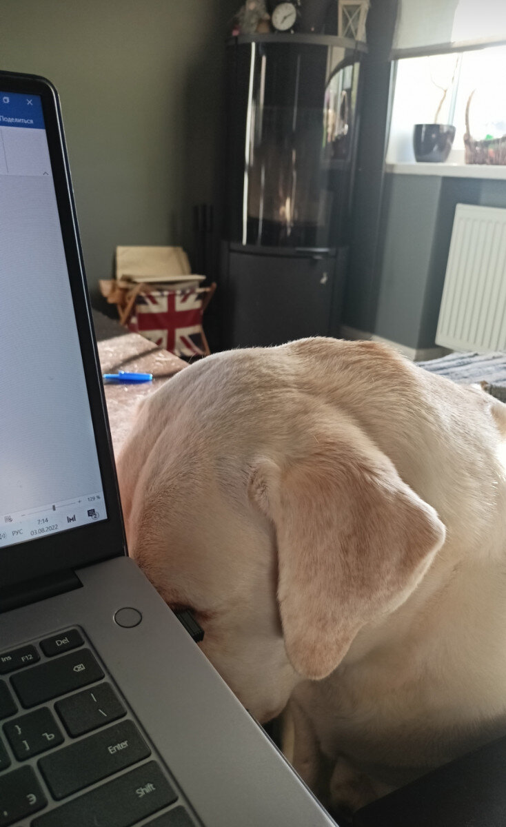 Мой помощник. О нем позже.