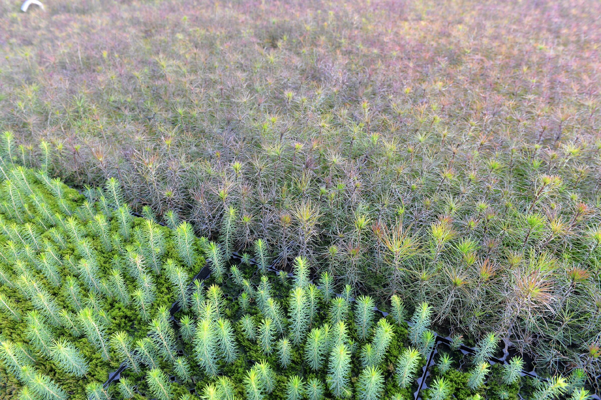 Источник фото: Администрация Ванинского района