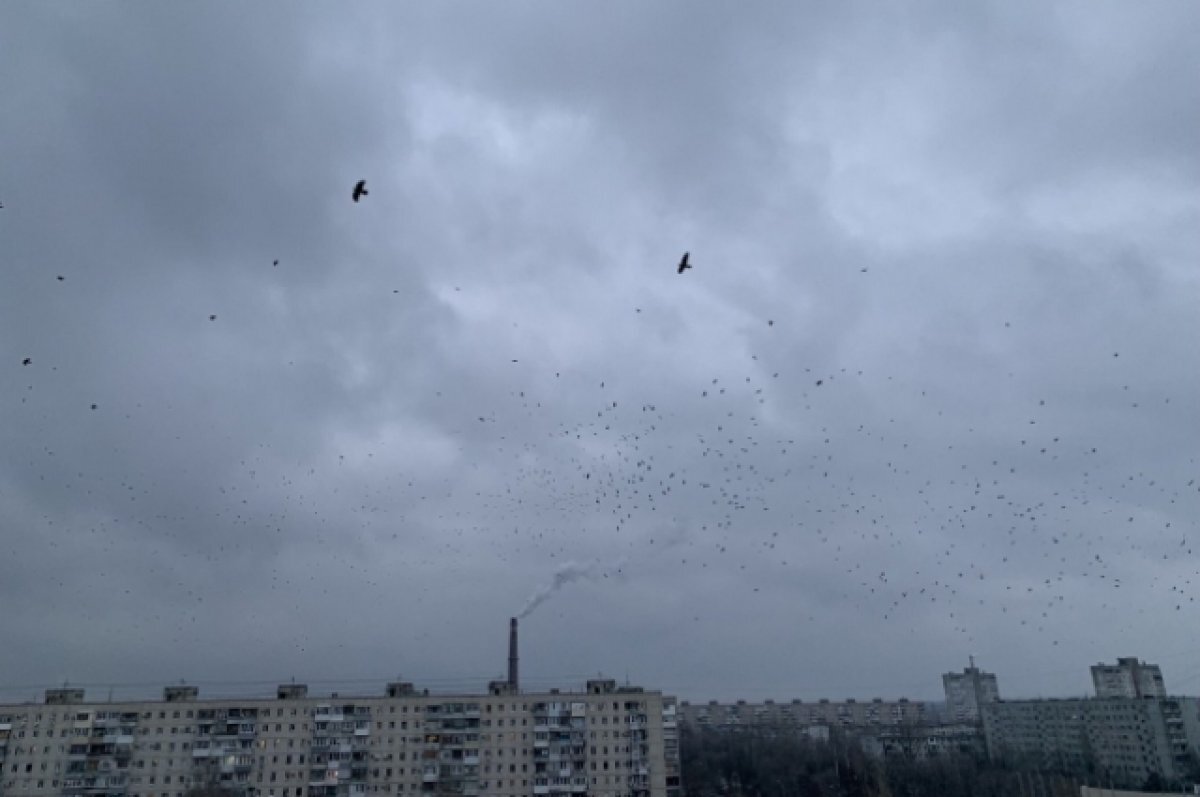    В Ростове ожидаются пасмурные выходные