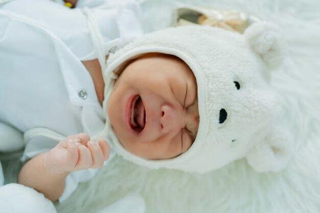 Фото Freepik Антонина Салашник  📷
