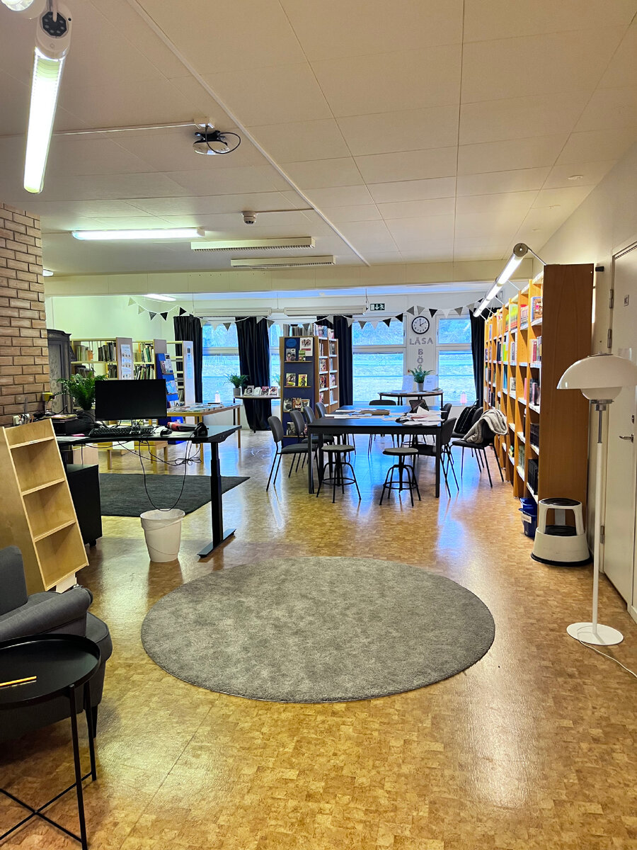 Библиотека в сельской школе. 