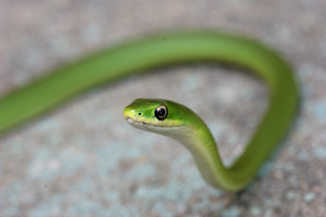 Источник https://alinabali.livejournal.com/8336.html?noscroll