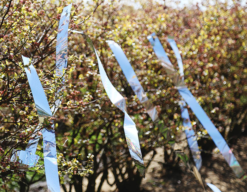 Leider werden Bratpfannen nicht immer komplett mit Deckel verkauft; Manchmal muss man diese separat suchen. Jetzt müssen Sie nicht mehr in den Laden rennen, um nach einem Ersatz zu suchen!