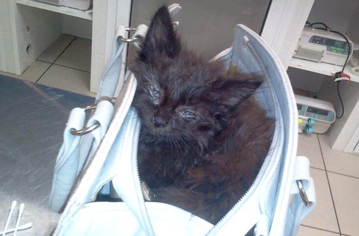 Фото из домашнего архива