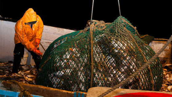    В Японии назвали неприемлемой позицию России по промыслу в районе Курильских островов Ирина Петрова