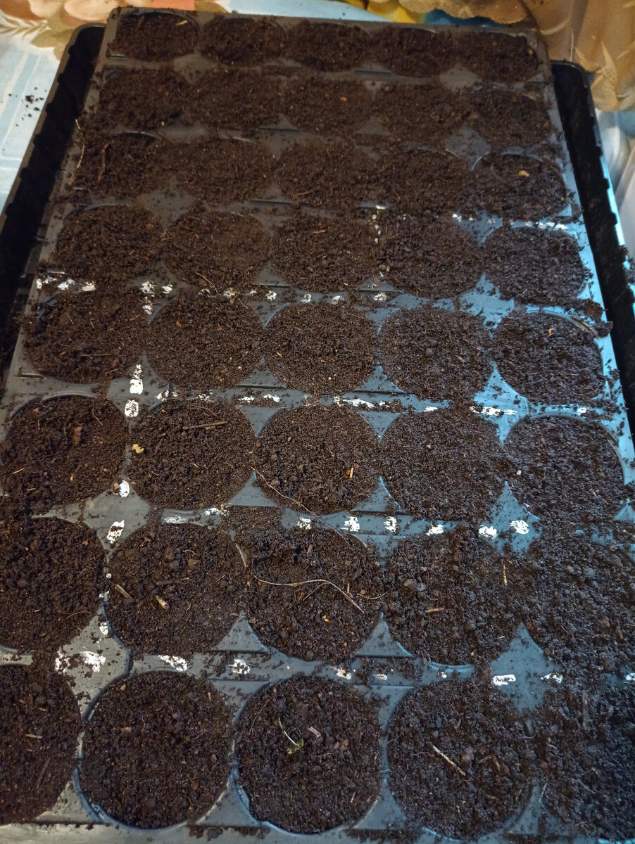 Красота же?)