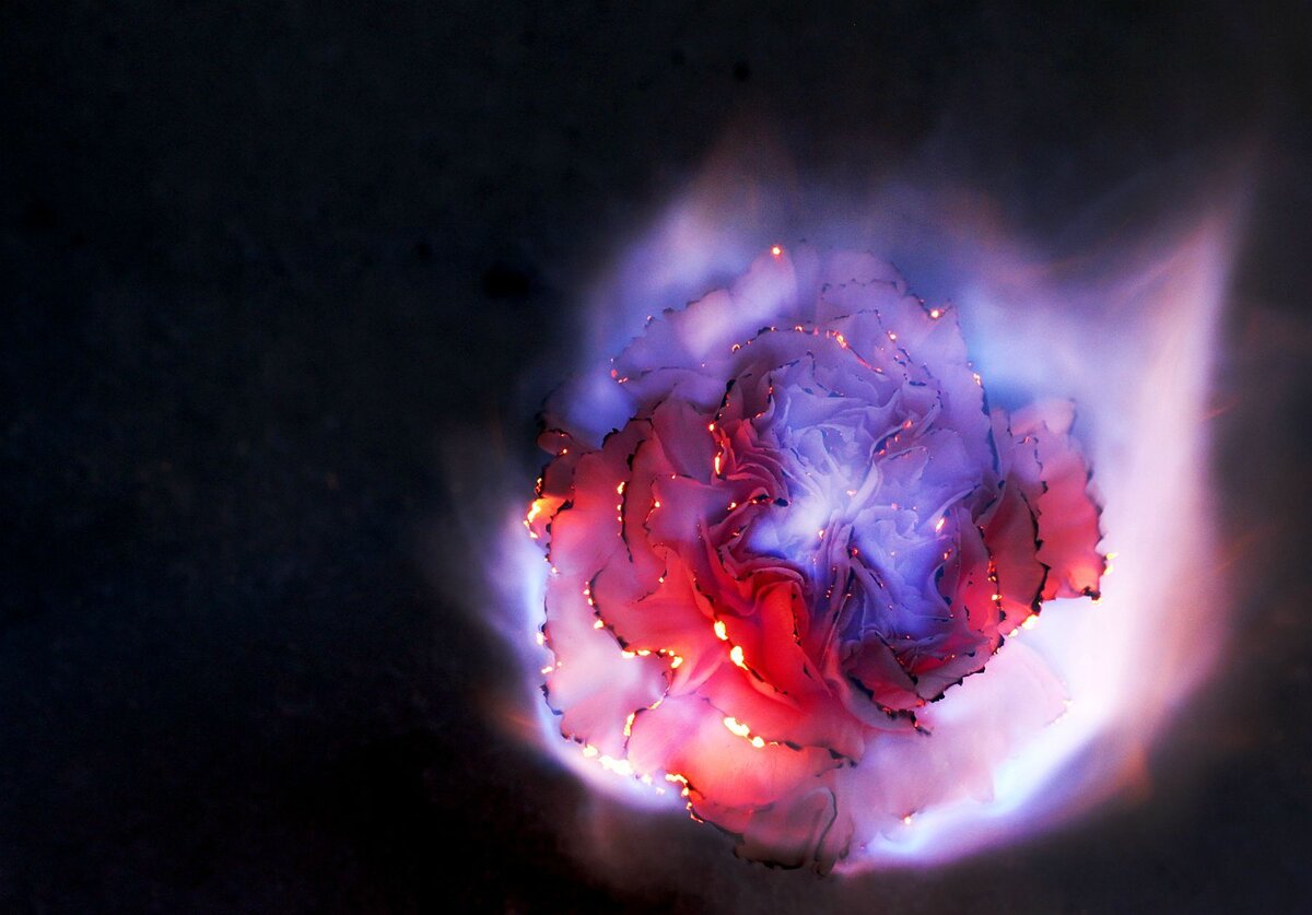 formag@yandex.ru ведьма дарья проверенные маги отзывы на магов