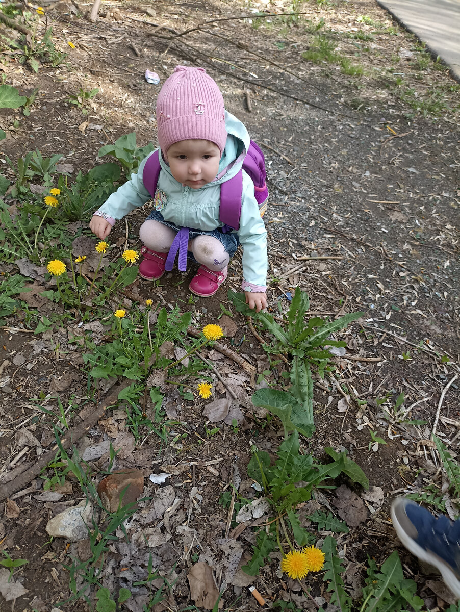 Прошлогодняя ветровка. Ещё не мала 