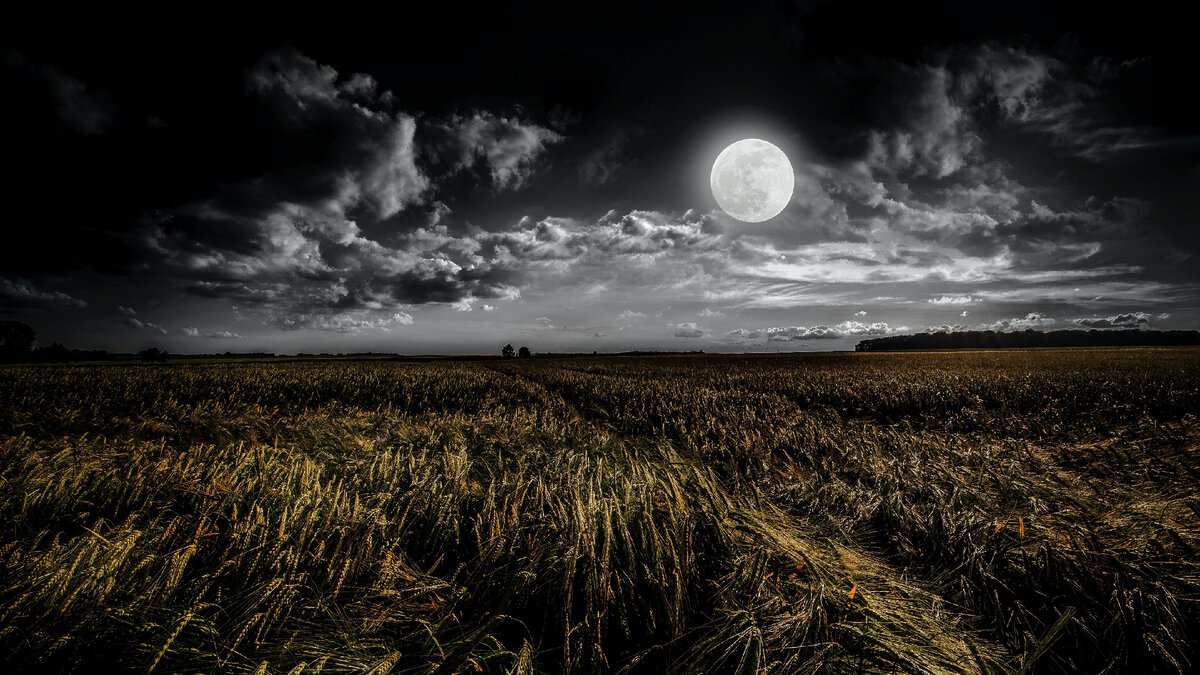 Photo by Luca on Unsplash