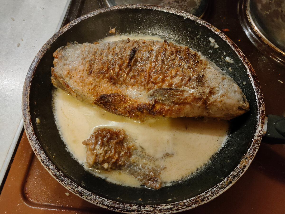 Сазан на сковородке. Карп жареный на сковороде. Жареная рыба кусочками. Рыба жареная. Сазан.