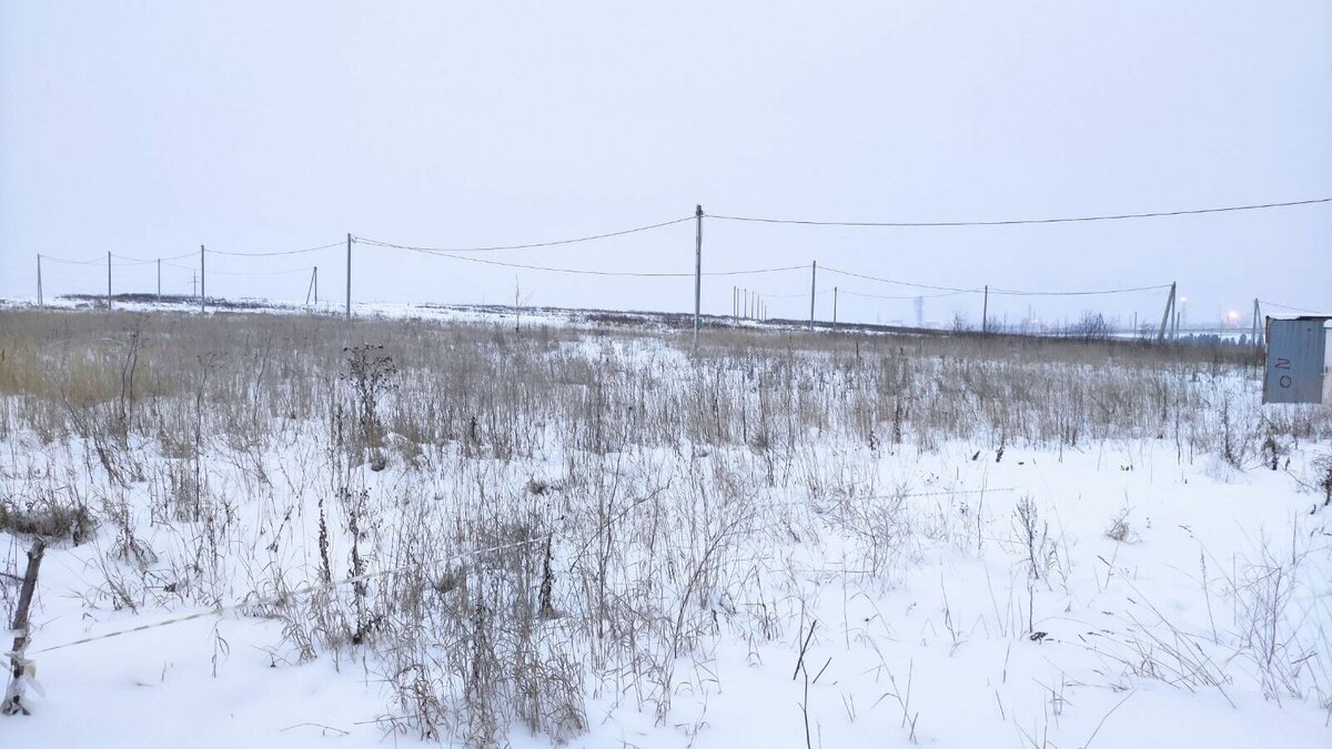 10 млн рублей выделено на строительство дороги к участкам многодетных в ...