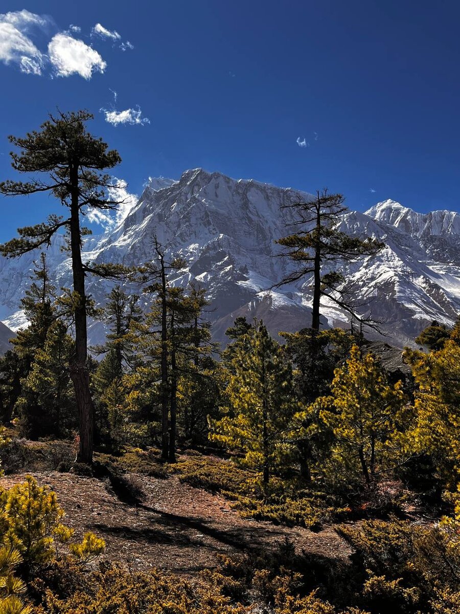 фото с маршрута "Сквозь Маннаслу к Аннапурне", Непал