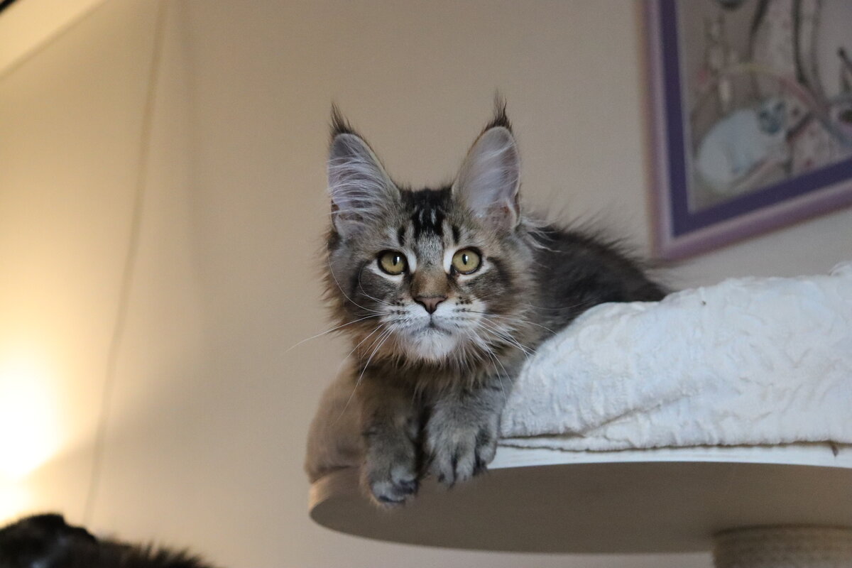 Фото из личного архива.