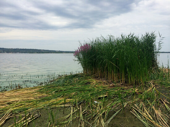     Природа под Саратовом. Фото: saratov.mk.ru "МК в Саратове"
