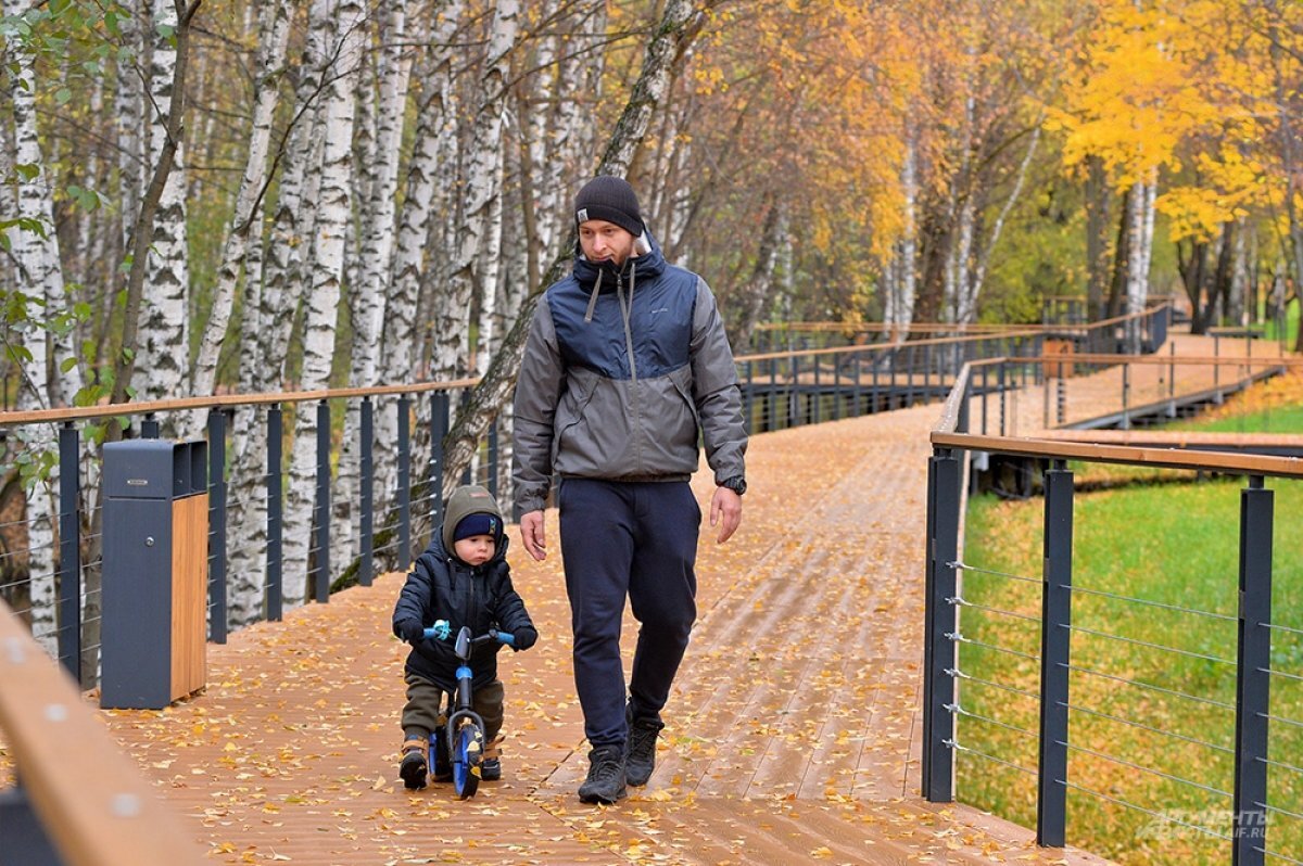    Жители Владимира выберут сквер для благоустройства в 2024 году