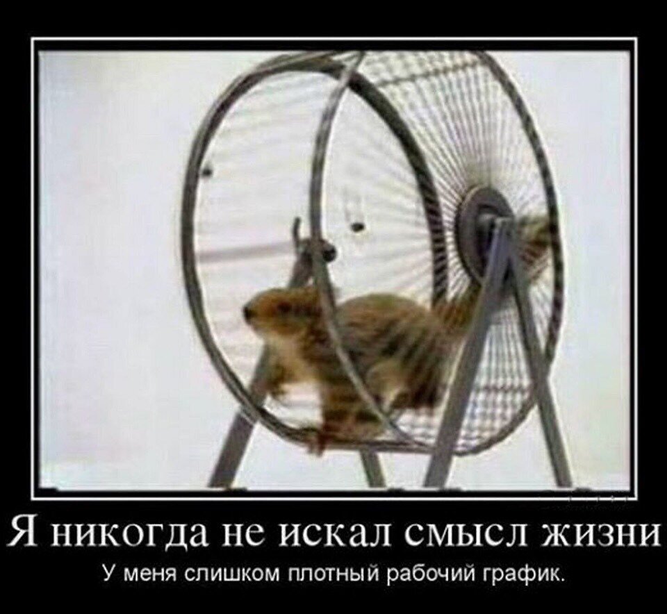 Точнее и не скажешь. Картинка взята из открытых источников для целей иллюстрации.