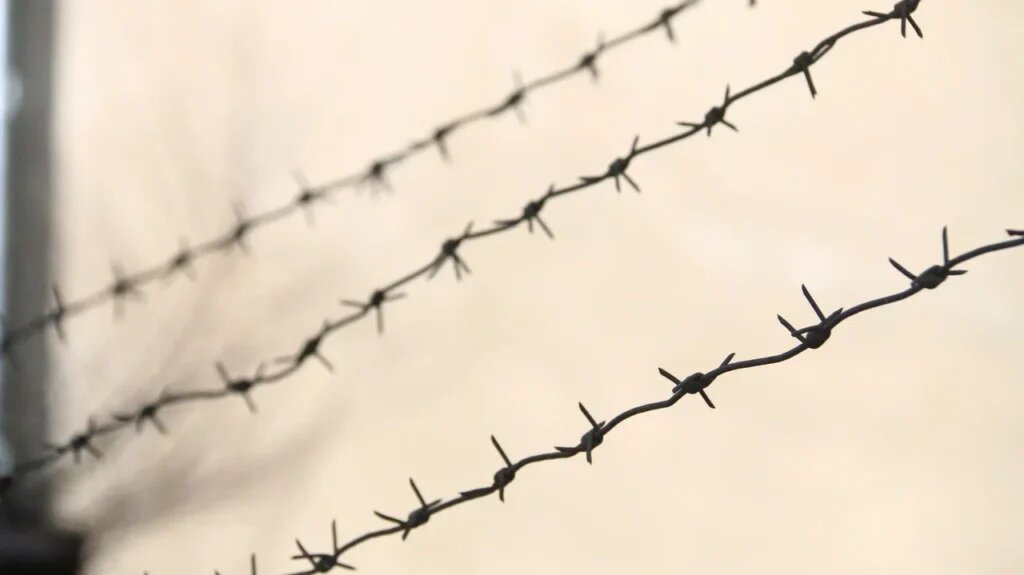    Фото: Амур.инфо