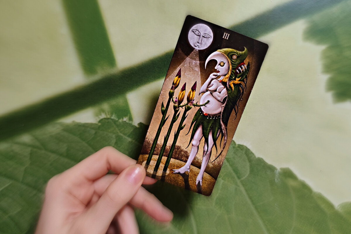 Фото из личного архива