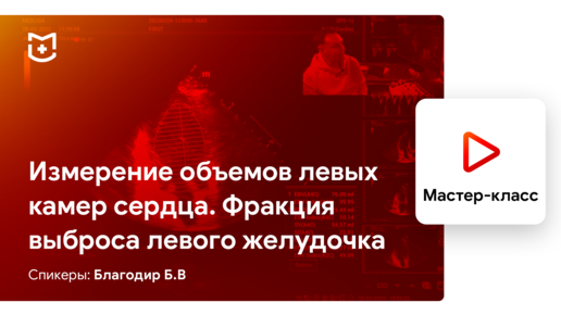 Основы ЭхоКГ. Измерение объемов левых камер сердца. Фракция выброса левого желудочка. Благодир Б.В.