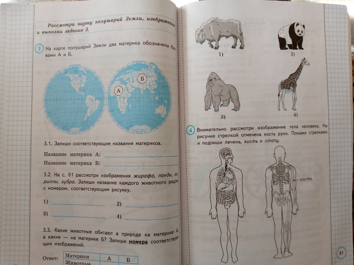 Впр окружающий 4 природные зоны