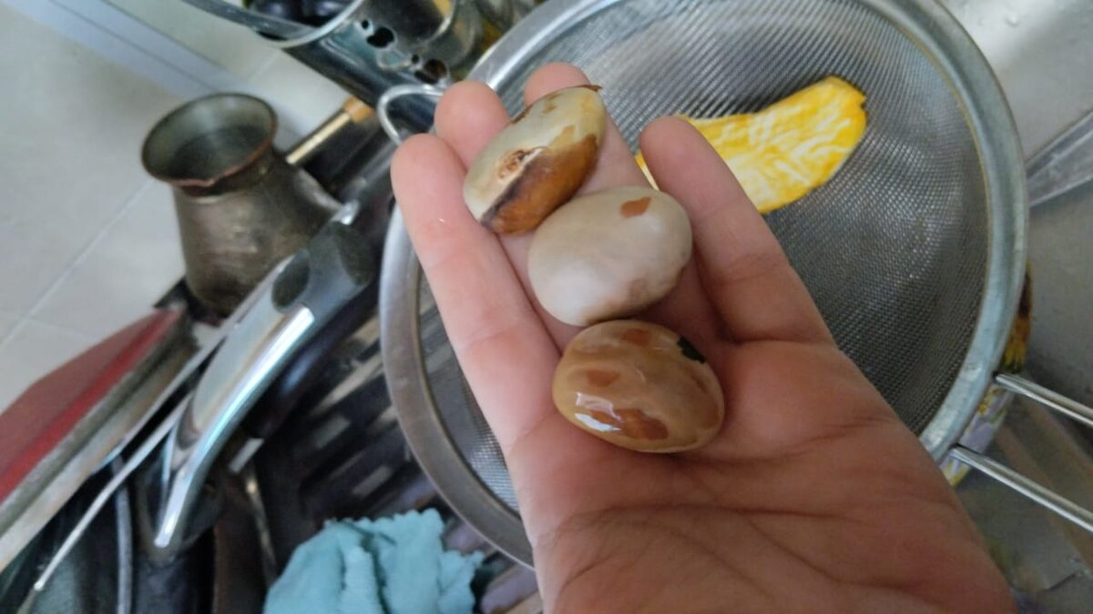 Телефонофото, другого не нашлось, извиняюсь