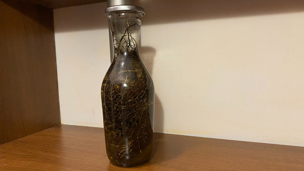 Скоро будет настойка. Фото втора.