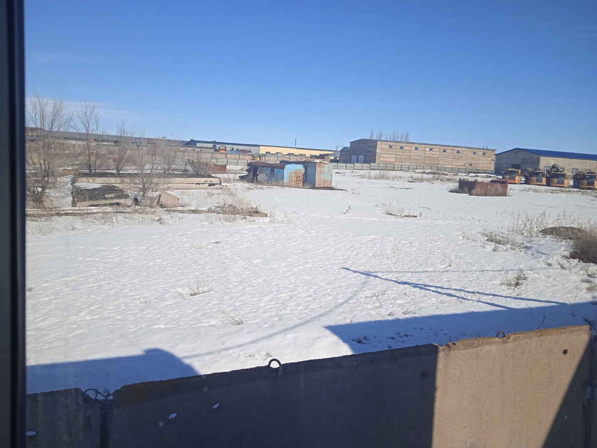 следуй за белым кроликом