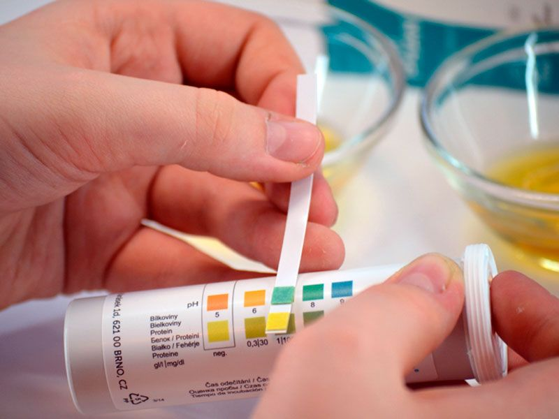 все фото - яндекс-картинки