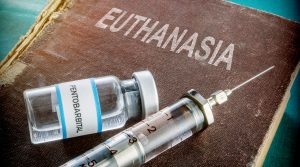    Фото: Depositphotos Анита Ким