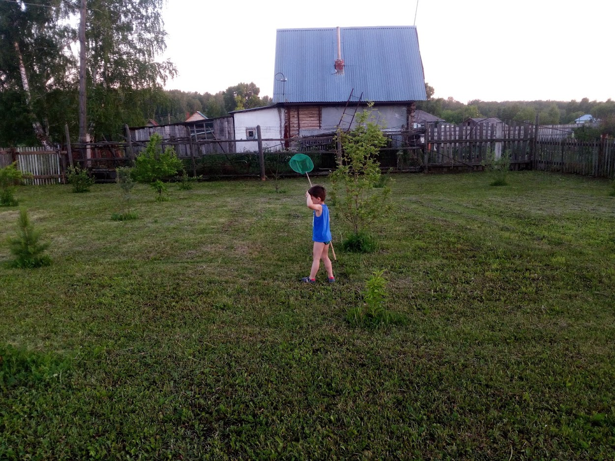 Сережа на даче у моих родетелей