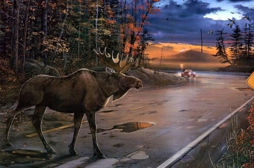 Фото из Яндекс Картинки