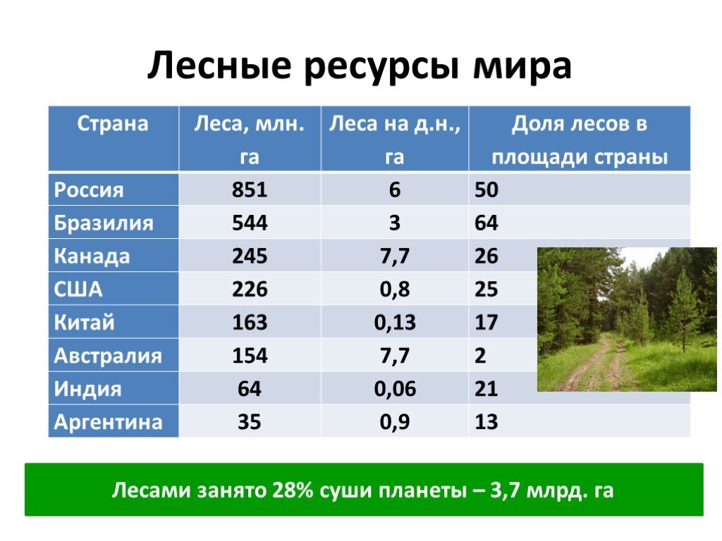 Карта лесных ресурсов мира