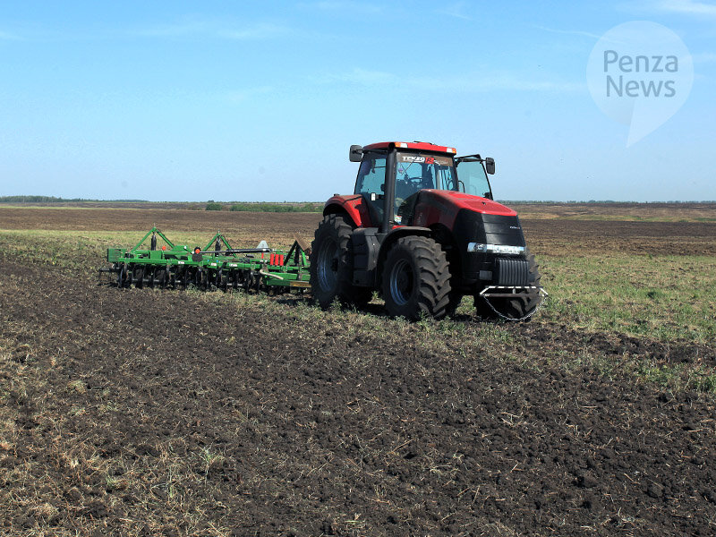    © Фото из архива ИА «PenzaNews»