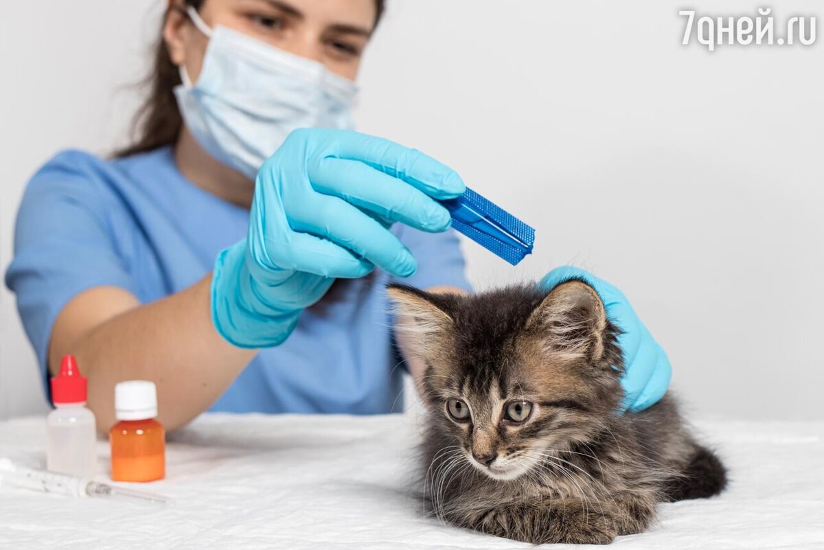     123RF/legion-media.ru