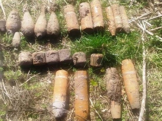     Фото: АСС Курской области