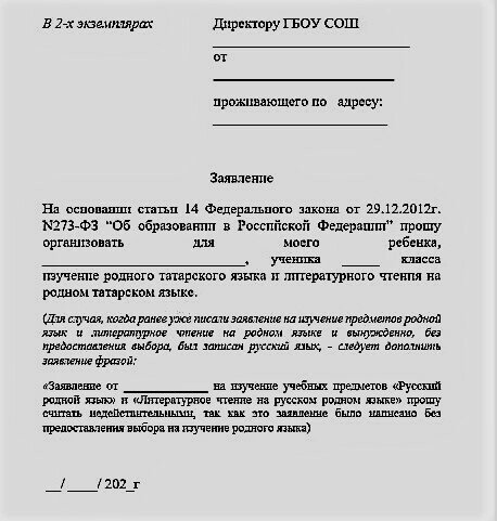 Путеводитель для родителя: что нужно для, чтобы ваш ребенок изучал родной язык в школе?